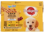 PEDIGREE KUTYAEL. ALUT.